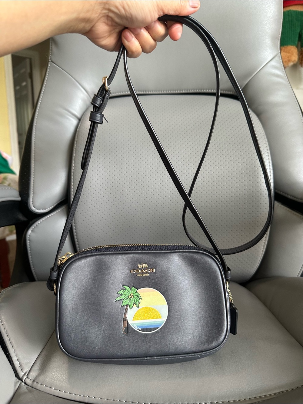 Coach Double Zip w/ Palm Tree & Sunset Patch Graphic Small Camera Bag, VGUC
